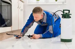 Worker With Sprayer